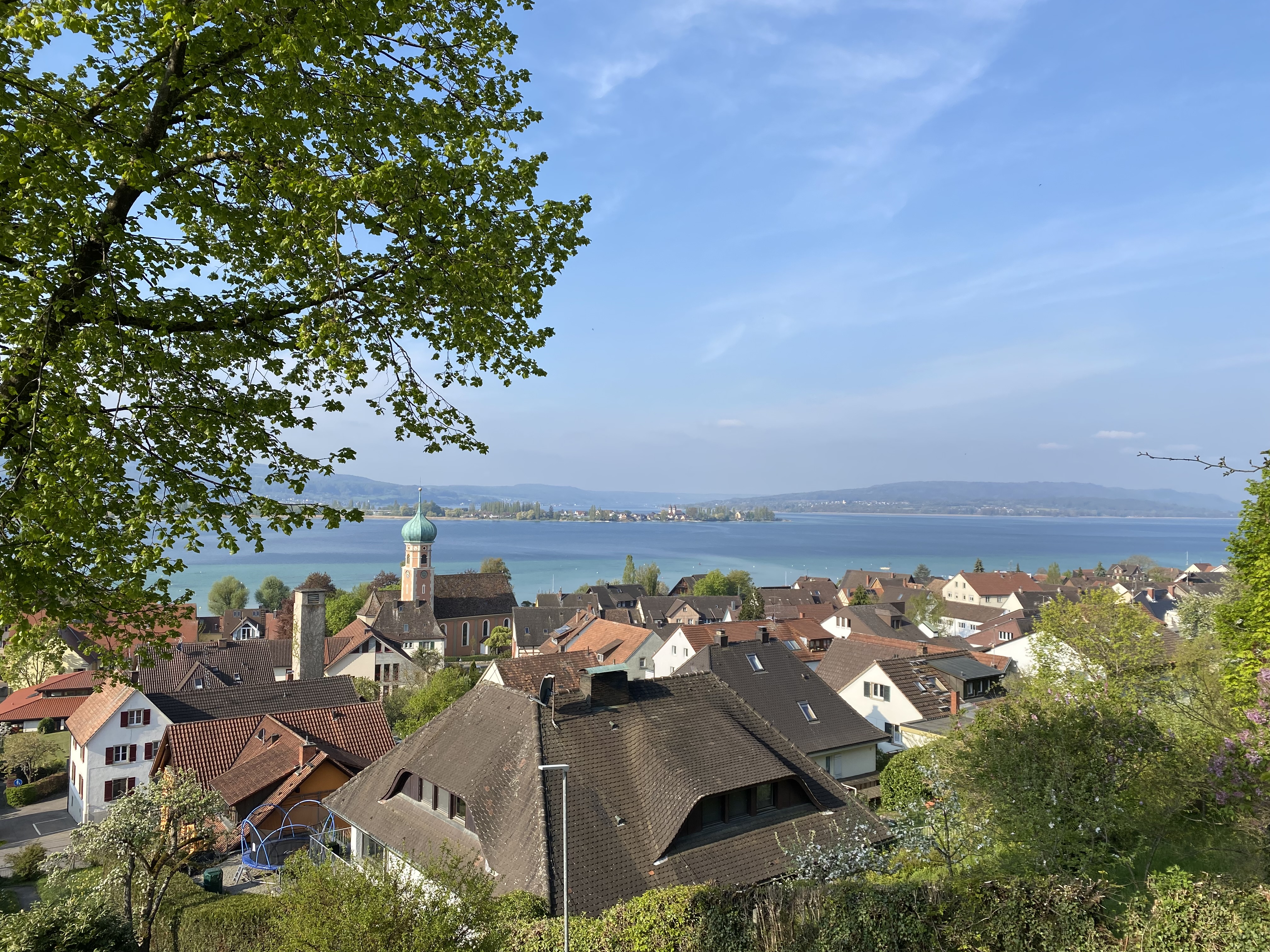 Blick vom Höhrenberg auf den Untersee - Foto: Gemeinde 