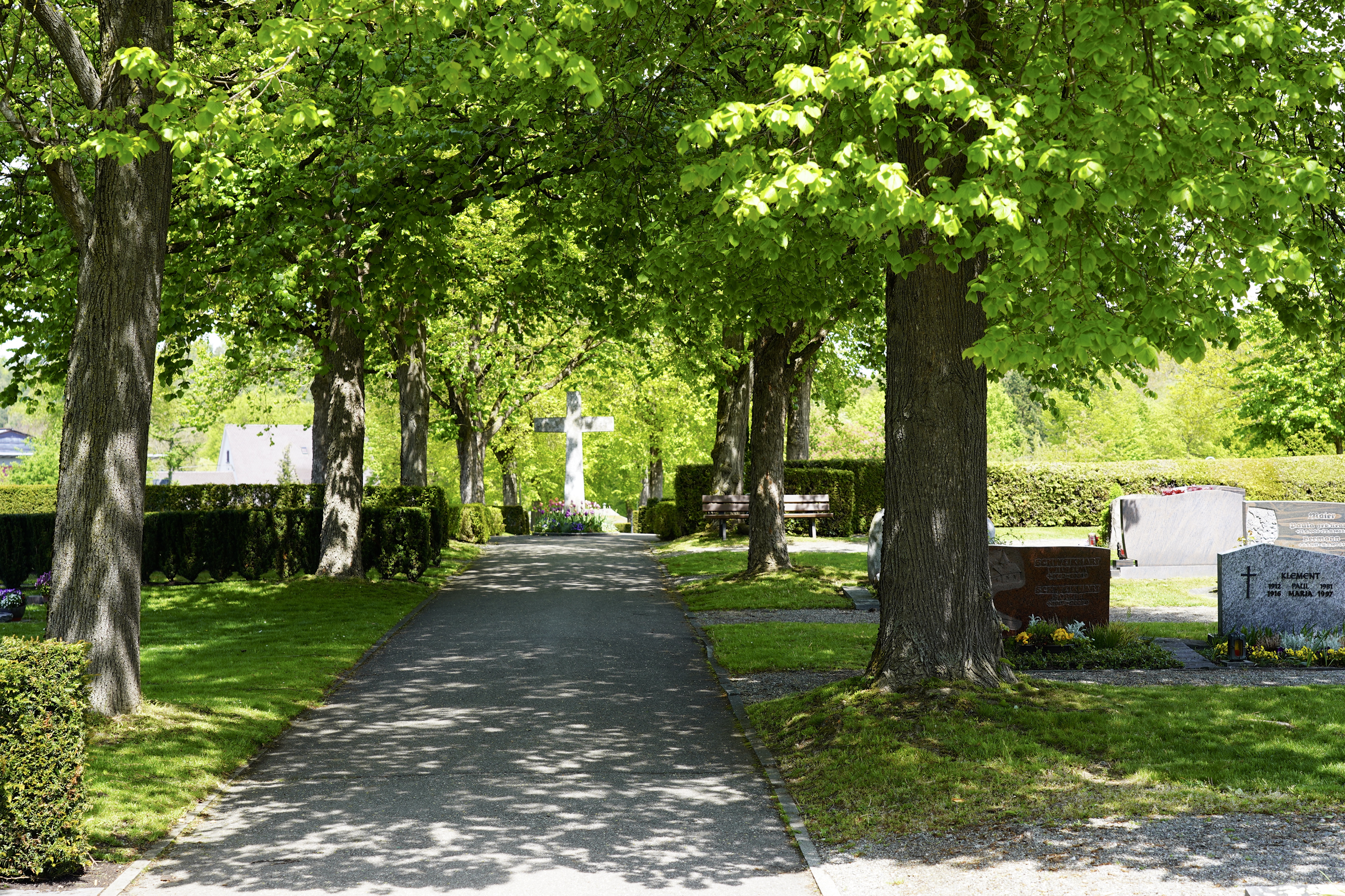  Friedhof - Allensbach - Foto: Gemeinde -Willy Meyer 