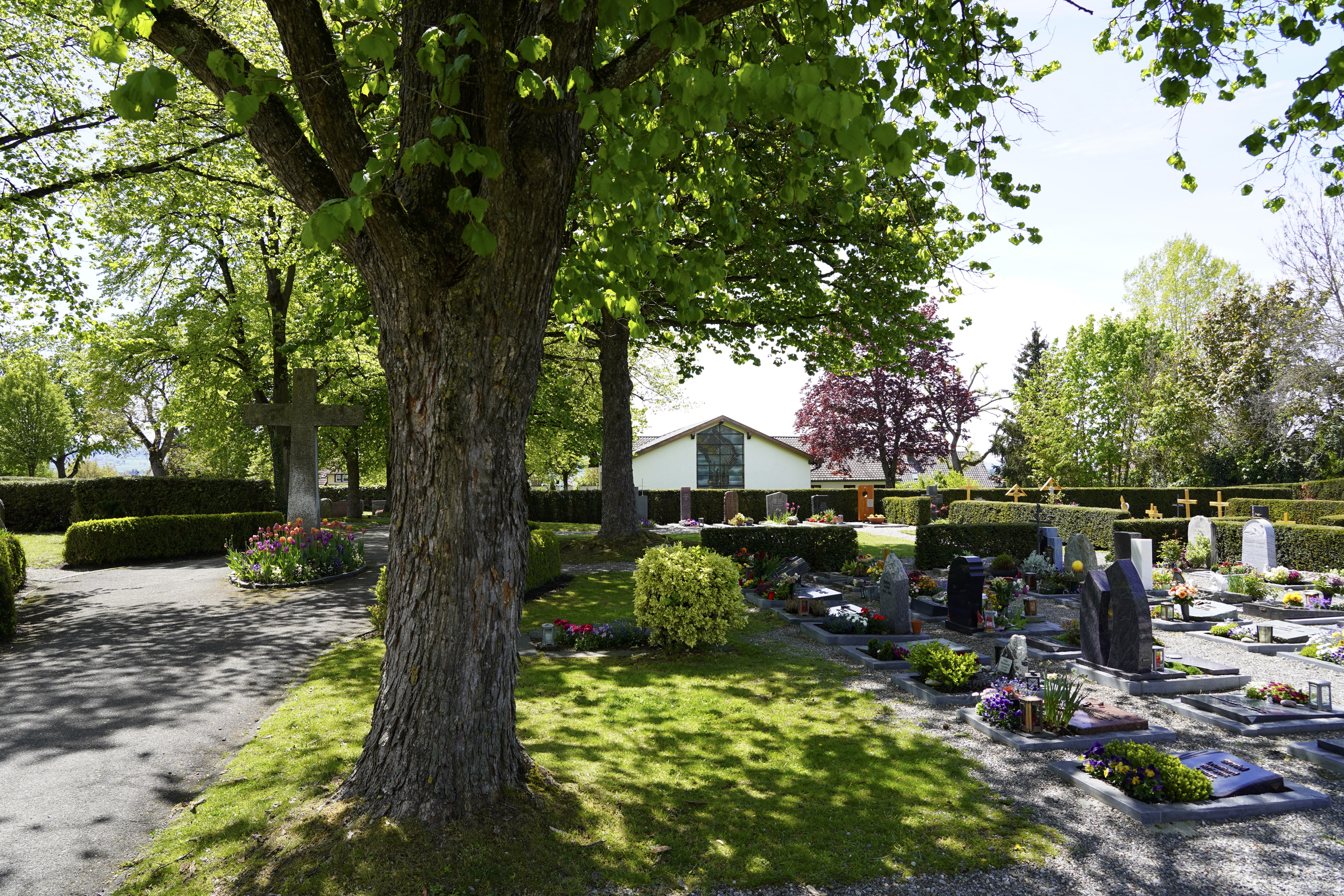  Friedhof Allensbach mit Aussegnungshalle - Foto: Gemeinde - Willy Meyer 
